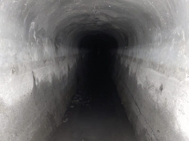 Shotcrete